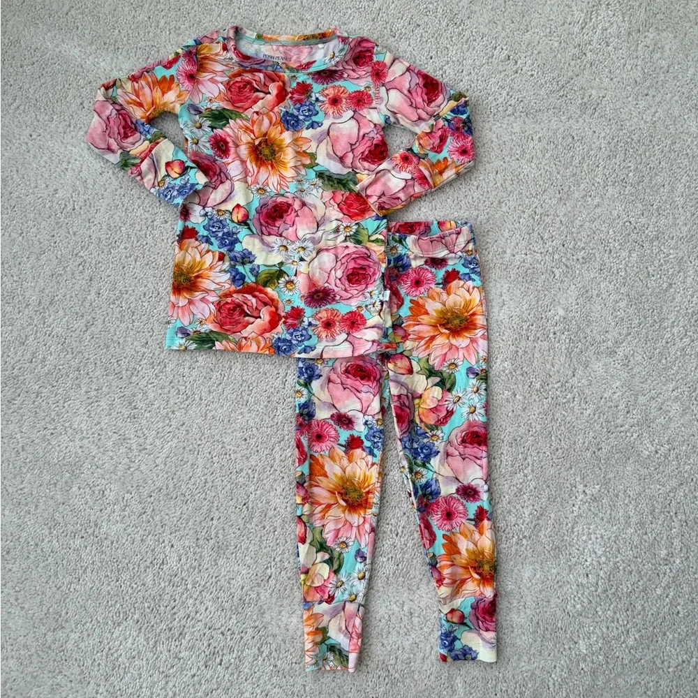 Posh Peanut Long Sleeve 2-Piece Pajama Set - Picture 1 of 11